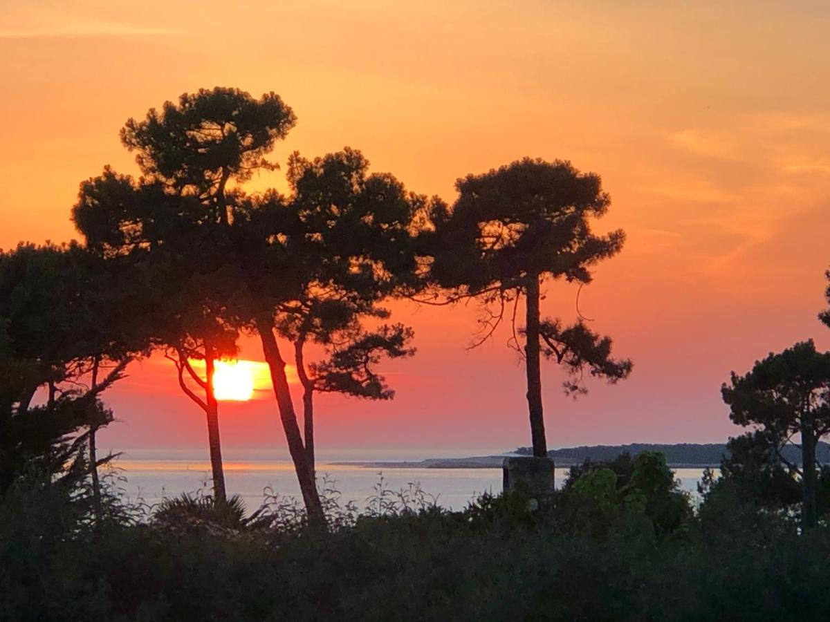 Chambre d’hôtes Pyla sur Mer La Teste-de-Buch Exterior foto