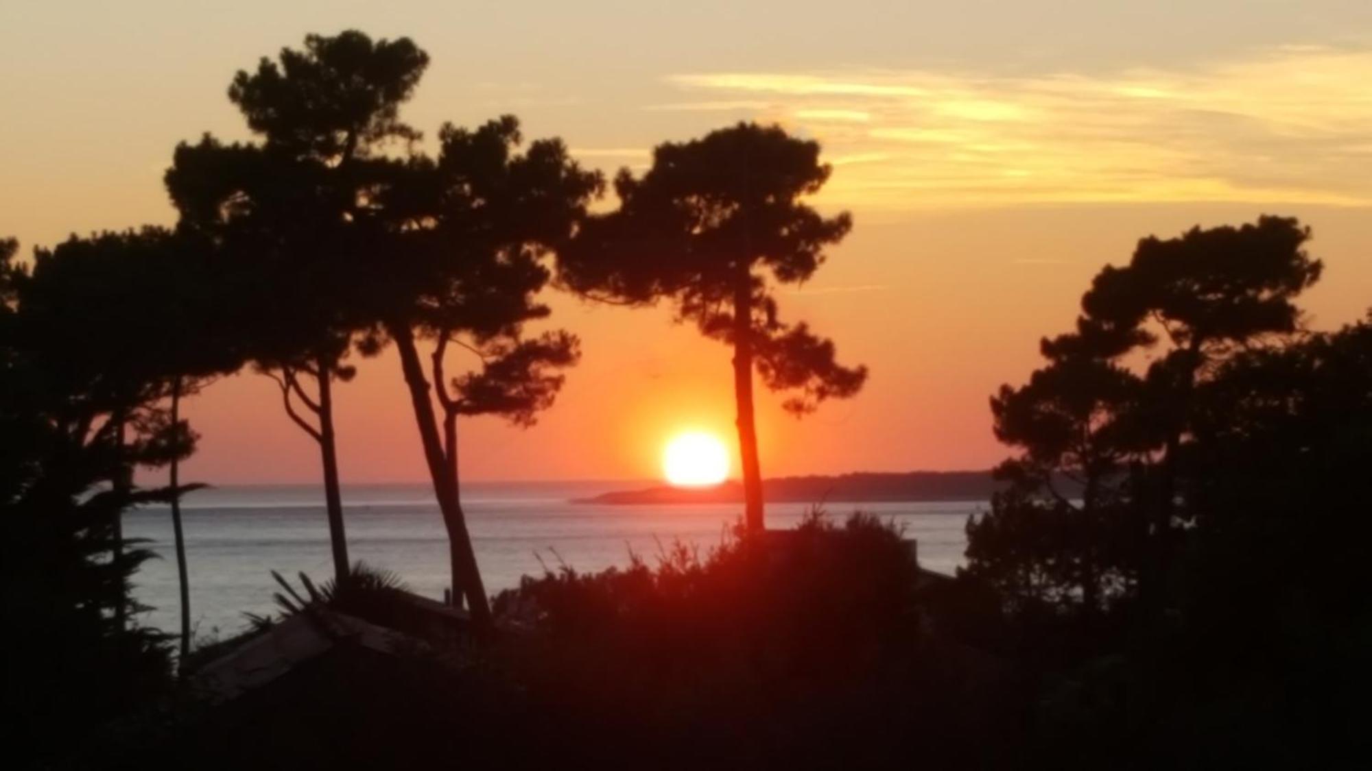 Chambre d’hôtes Pyla sur Mer La Teste-de-Buch Exterior foto